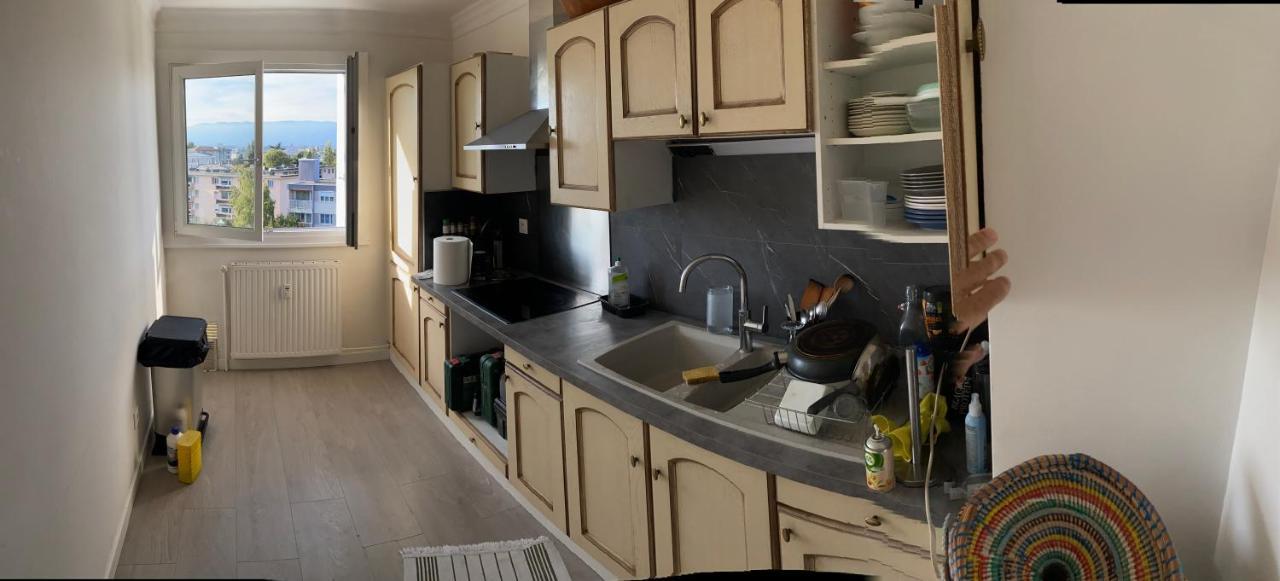 Appartement Avec Belle Vue Et Place De Parking Annemasse Εξωτερικό φωτογραφία